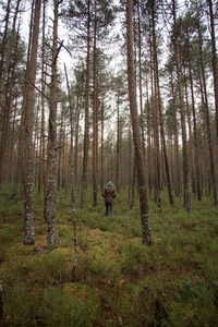 Man amidst trees in forest