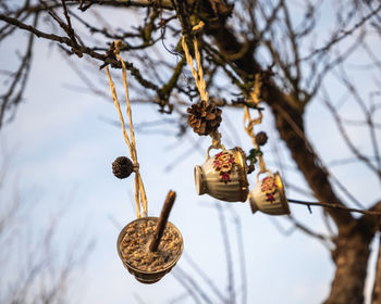 Low angle view of lanterns hanging on tree