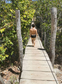 Rear view of person walking on walkway amidst trees in forest