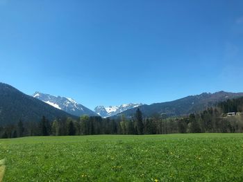 Scenic view of field and mountains against clear blue sky