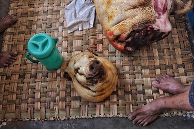 Low section of man holding dog outdoors