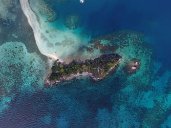 High angle view of swimming underwater