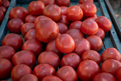 Full frame shot of fruits for sale