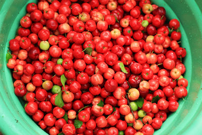 Directly above view of berries in container