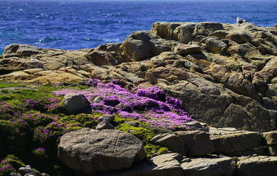 Scenic view of rocks on beach against sky