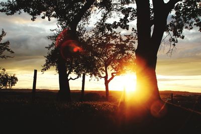 Silhouette trees on field against sky during sunset