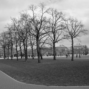 Bare trees in park against sky