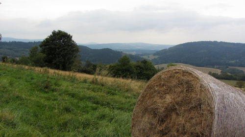 Scenic view of grassy field against cloudy sky