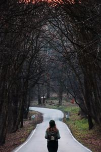 Rear view of man on footpath amidst trees