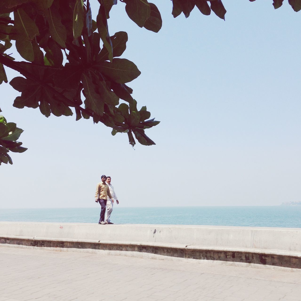 clear sky, sea, horizon over water, beach, water, full length, leisure activity, tranquility, lifestyles, copy space, tranquil scene, beauty in nature, nature, scenics, rear view, shore, tree, sand