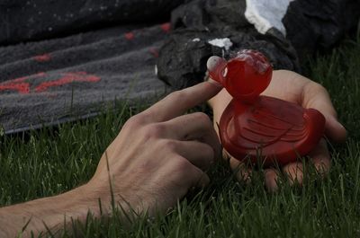 Close-up of hand holding grass