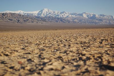 Scenic view of landscape