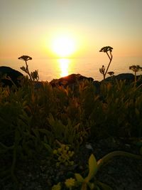 Scenic view of sunset over sea