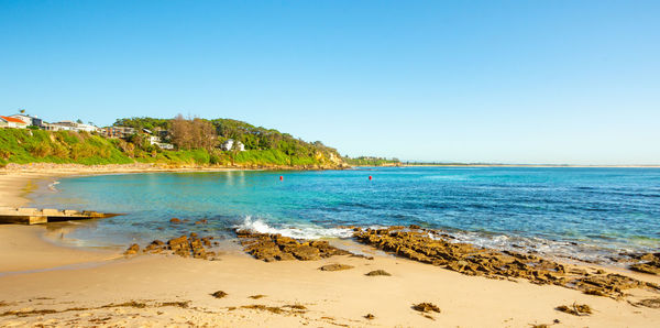 A scenic wide angle landscape view of a beautiful calm beach in australia on a stunning day