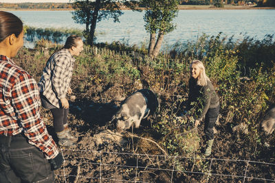 Female farmers feeding pig at organic farm