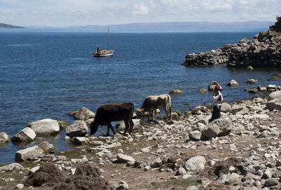 Scenic view of sea and rocks