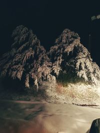 Close-up of snow covered rock