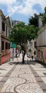 Street amidst trees and buildings against sky