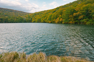 Scenic view of lake by trees against sky