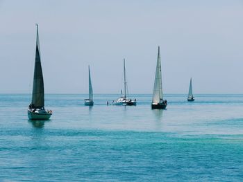 Sailboats sailing in sea against clear sky