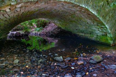 Stream flowing through rocks