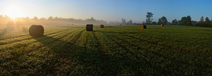 Scenic view of agricultural field against sky