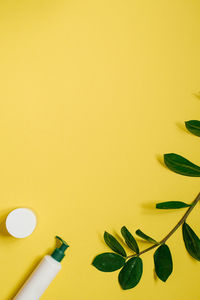 Minimal composition with skin care cosmetics and green on a yellow background