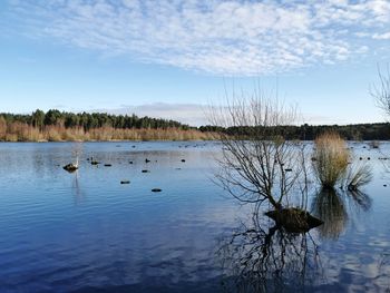 Scenic view of lake against sky