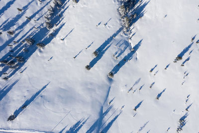 High angle view of snow covered field