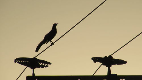 Silhouette bird perching on cable against clear sky