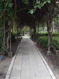 Empty footpath in park