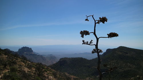 Scenic view of mountains against blue sky