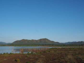 Scenic view of lake against clear blue sky
