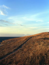 Scenic view of field against sky