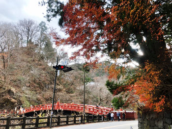 Bridge by trees against sky during autumn