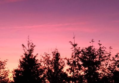 Low angle view of silhouette trees against romantic sky