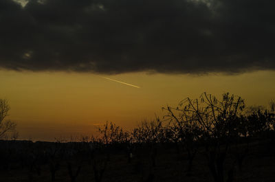 Silhouette trees against dramatic sky during sunset