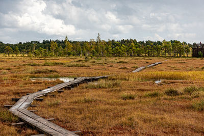Scenic view of field against sky