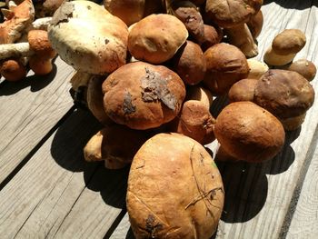 Close-up of mushrooms on table