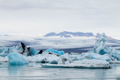 Scenic view of frozen sea against sky