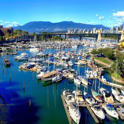 High angle view of boats moored at harbor