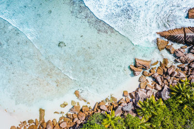 High angle view of dry leaves on rock
