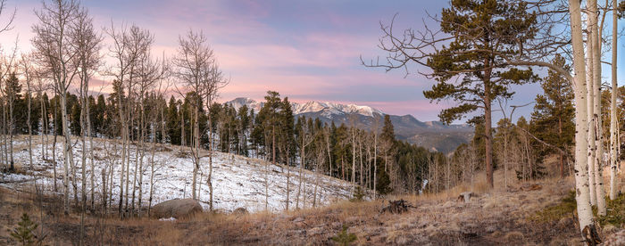 Scenic view of land against sky during winter