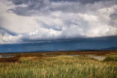 Scenic view of grassy field against cloudy sky