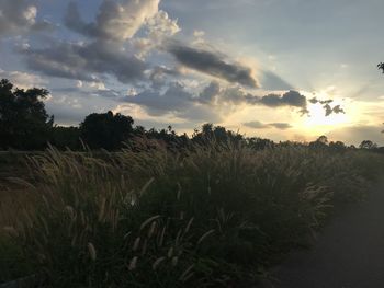 Scenic view of field against sky during sunset