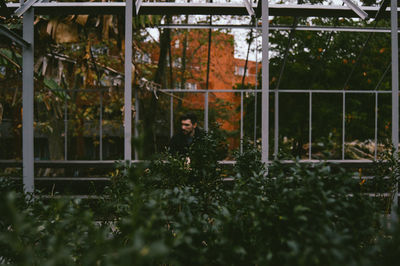 Man sitting by railing seen through plants at park