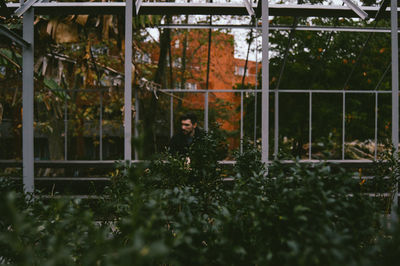 View of an animal seen through window