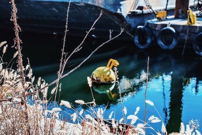 High angle view of buoy floating by moored boat in river