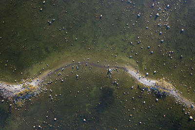 High angle view of sea