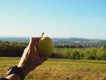 Close-up of hand holding fruit on field against clear sky